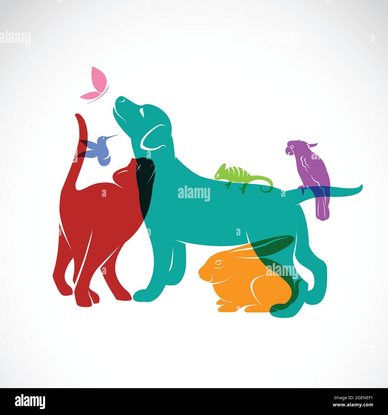 Vector Gruppe von Haustieren - Hund, Katze, Papagei, Chamäleon, Kaninchen, Schmetterling, Kolibri isoliert auf weißem Hintergrund. Stock Vektor