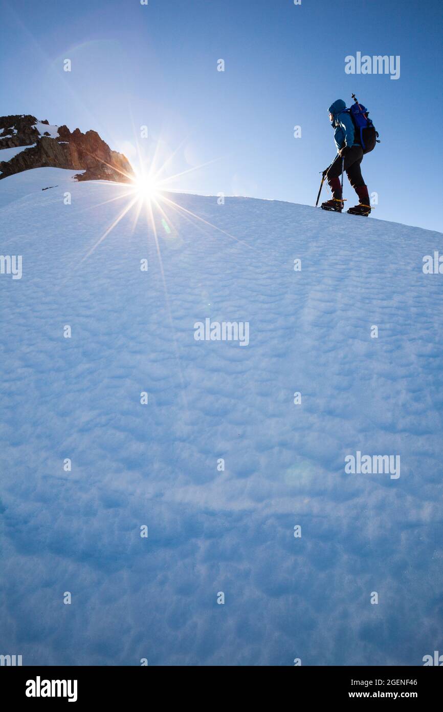 Weibliche Kletterin steigt Schnee zum Gipfel des Mount Tapuae-o-uenuku, Inland Kaikoura Range. Clarence Valley nach links Stockfoto
