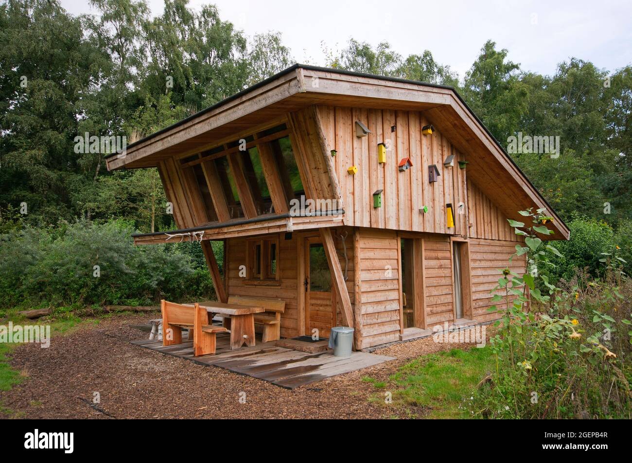 Holzbungalow in De Wije Werelt camping, Otterlo, Gelderland, Niederlande Stockfoto