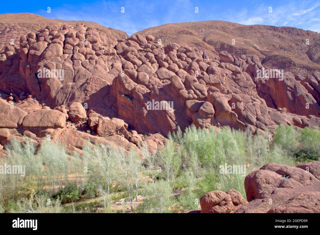 Ungewöhnliche Felsformationen entlang des Dades-Flusstals bei Boumalne Dades, Marokko. Stockfoto