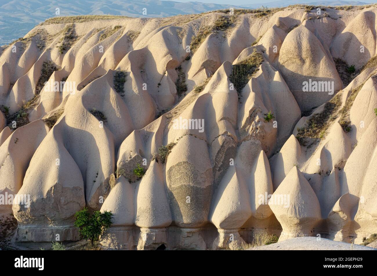 Wahrzeichen der Natur in der Türkei White Valley ist die natürliche Landschaft der erodierten Felsformation in Uchisar, Kappadokien Stockfoto