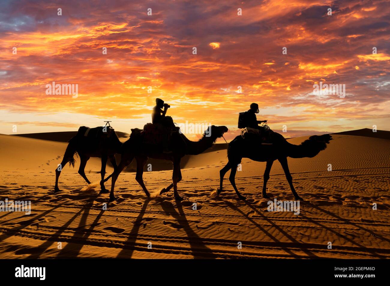 (Selektiver Fokus) atemberaubender Sonnenuntergang hinter der Silhouette zweier Touristen, die auf zwei Kamelen auf den Dünen der Merzouga-Wüste in Marokko reiten. Stockfoto
