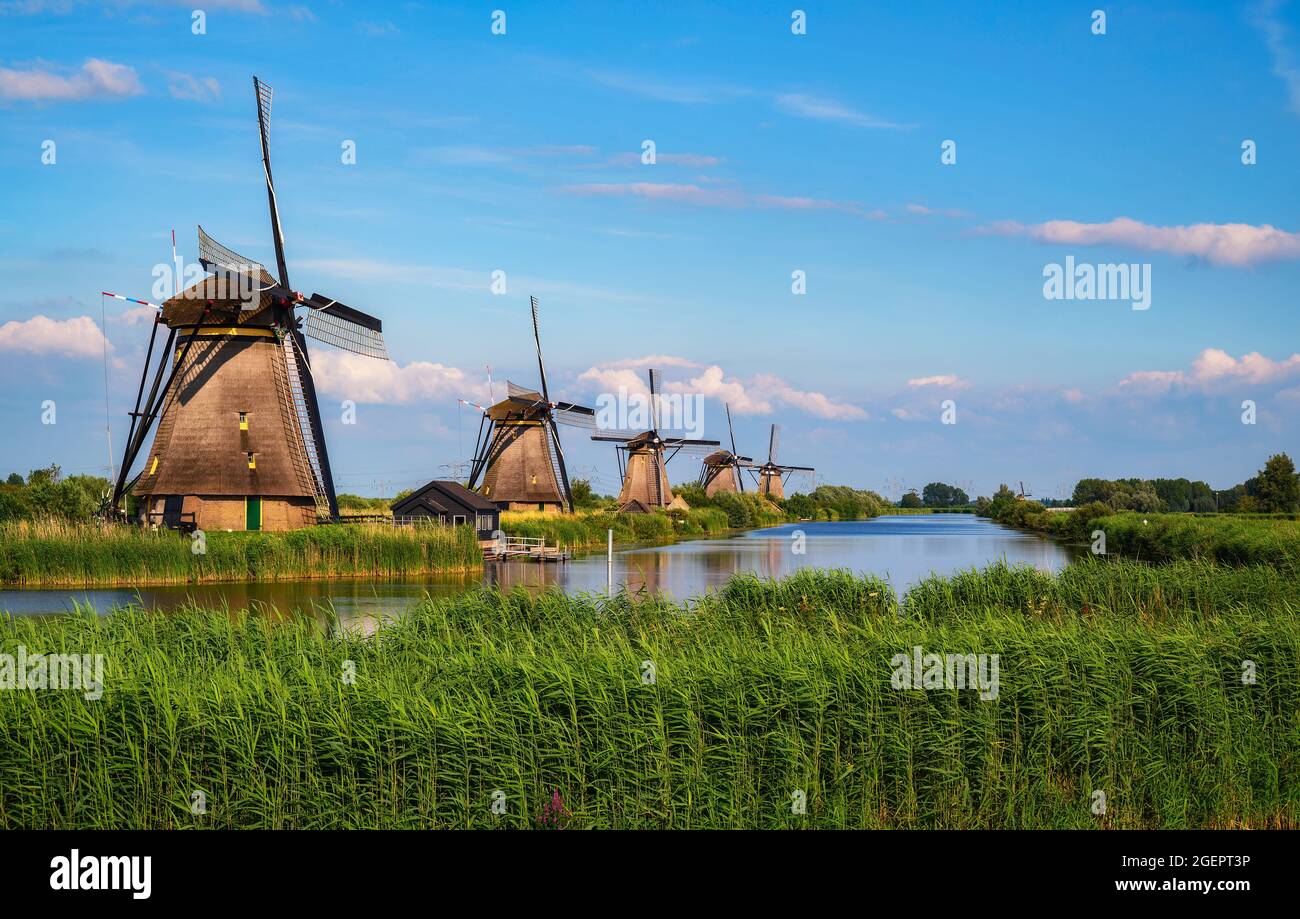 Historische Windmühlen und ein vorbeifließender Fluss in Kinderdijk, Niederlande Stockfoto