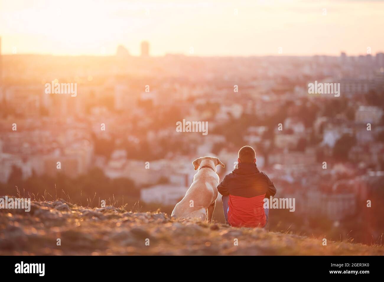 Rückansicht eines jungen Mannes mit Hund bei Sonnenaufgang. Tierbesitzer sitzt mit seinem Hund auf einem Hügel gegen die Stadt. Prag, Tschechische Republik. Stockfoto