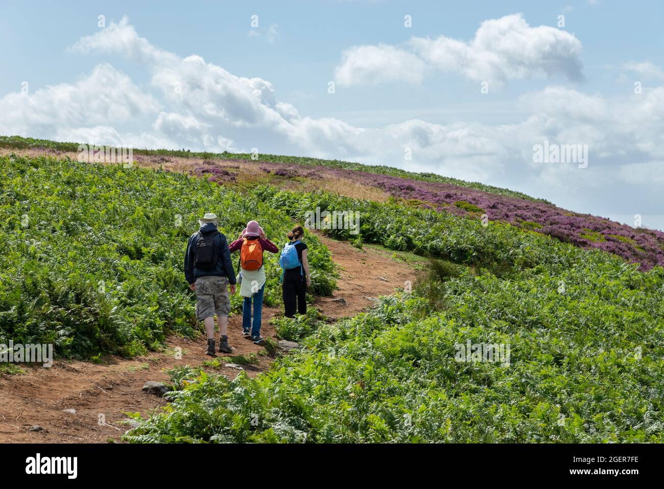 Familienspaziergängen auf Bamford Moor an einem schönen sonnigen Tag im August. Peak District National Park, Derbyshire, England. Stockfoto