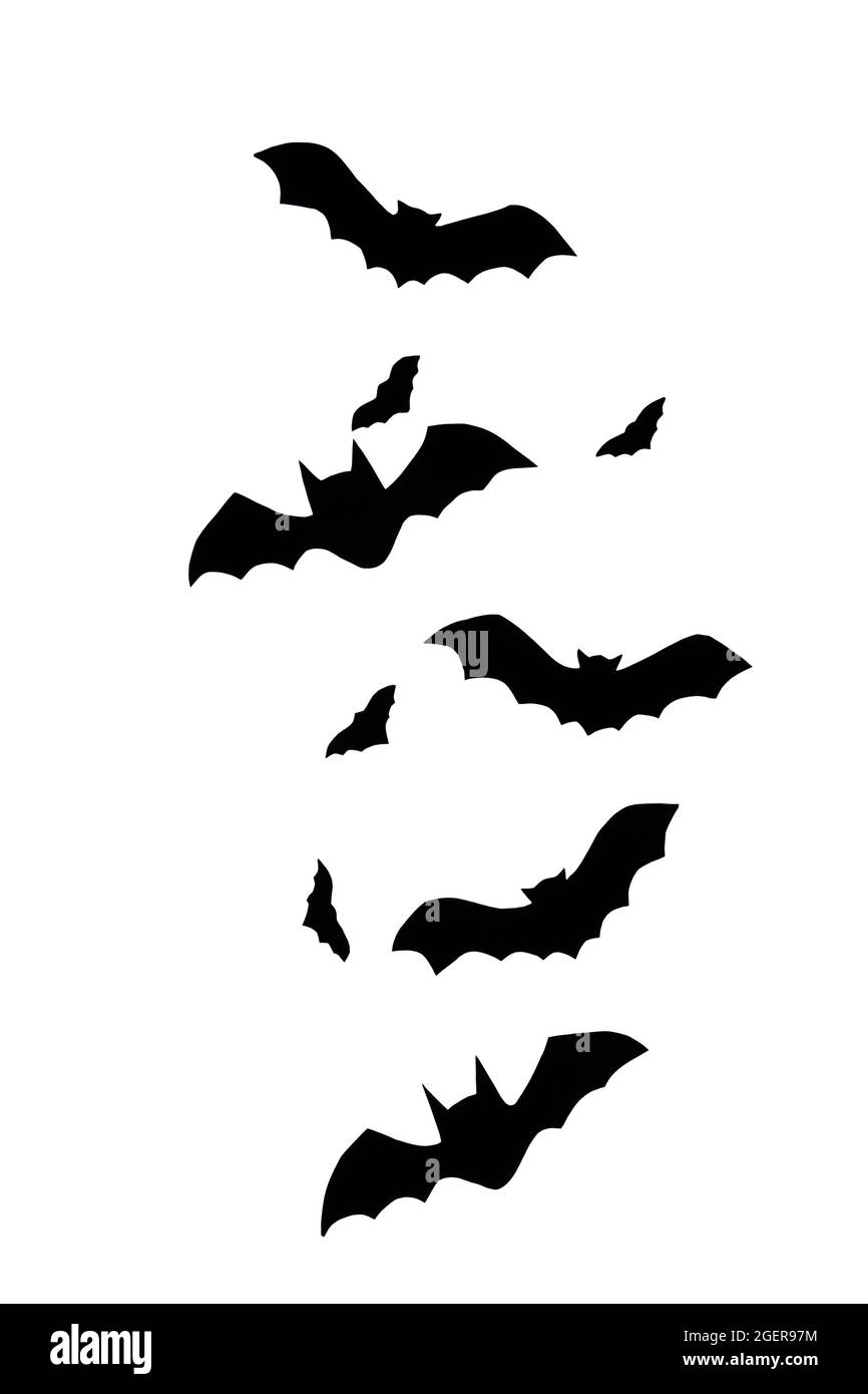 Halloween gruseliges Symbol der Vampir Fledermaus Silhouette vor weißem Hintergrund Stockfoto