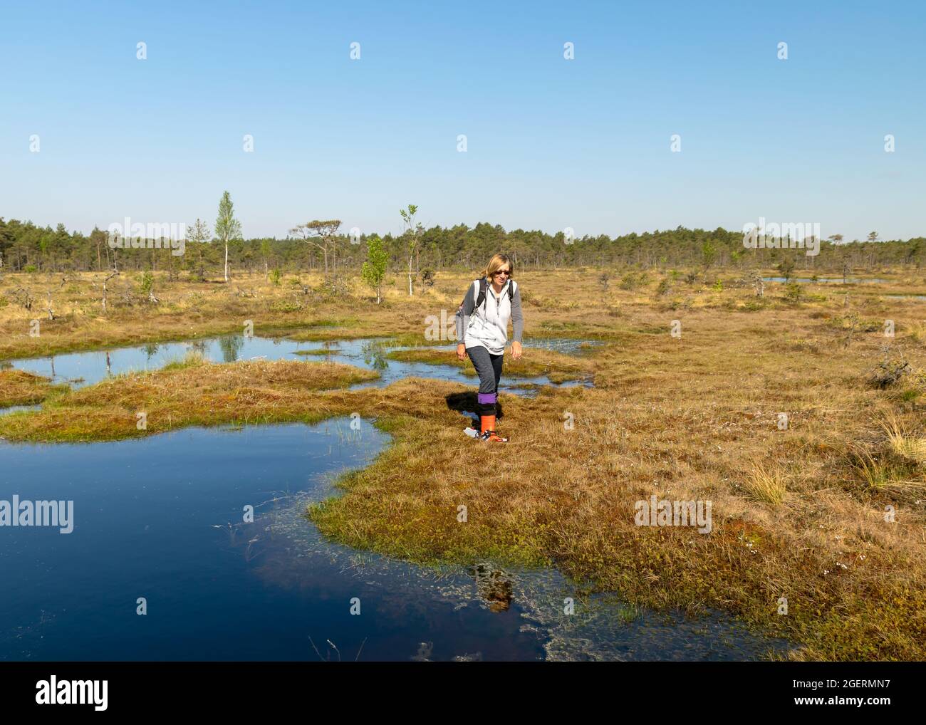 Schöne Sumpflandschaft mit blauem Himmel und Wasser, Frau genießt Sumpflandschaft, Wanderung mit Schneeschuhen im Sumpf, traditionelle Sumpfpflanzen, Moose und tr Stockfoto