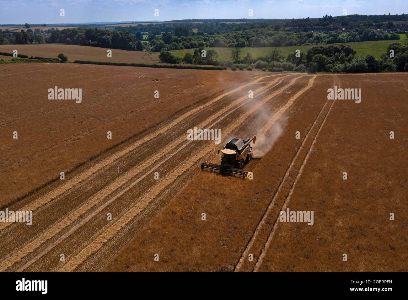 Kombinieren Sie Harvester Weizenernte in englisch Feld, England Stockfoto