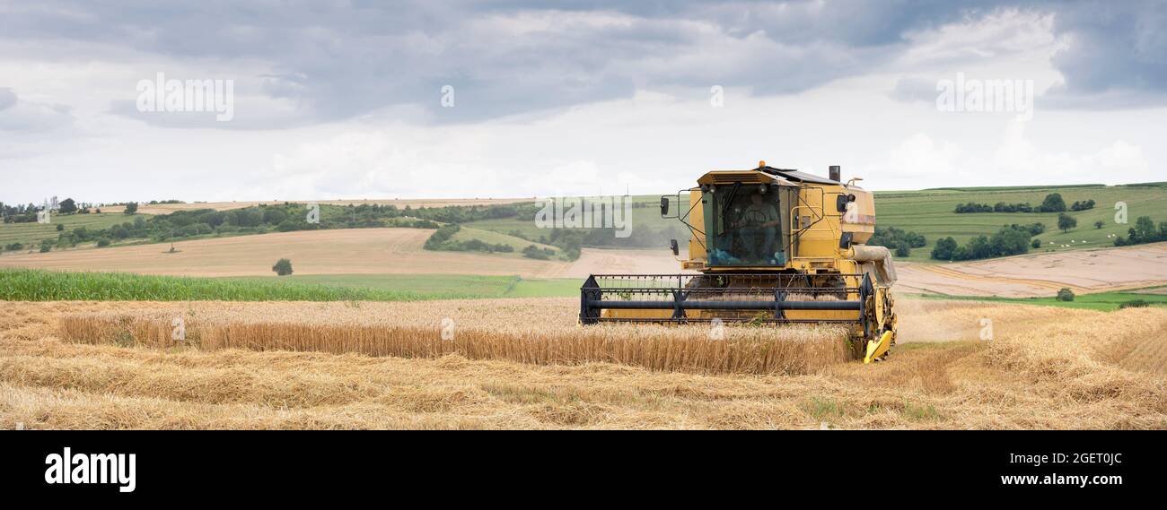 Kombinieren Sie während der Ernte in der französischen Landschaft in der Nähe von charleville in den französischen ardennen Stockfoto