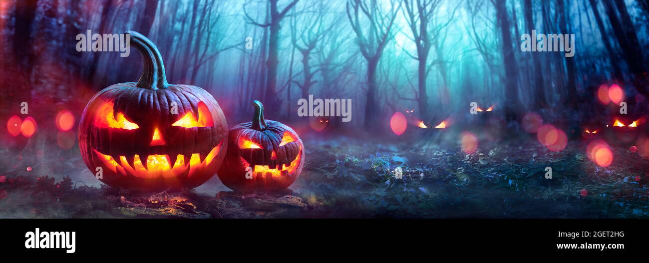 Halloween Kürbisse in Einem gespenstischen Wald bei Nacht mit bösen Augen Stockfoto