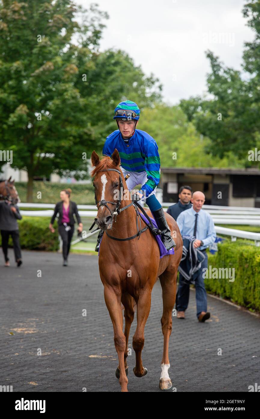 Sunbury-on-Thames, Middlesex, Großbritannien. August 2021. Indischer Guru, der von Jockey Luke Catton zum Start der Unibet Casino Deposit £10 Get £40 Bonus Nursery Handicap gefahren wird. Quelle: Maureen McLean/Alamy Stockfoto