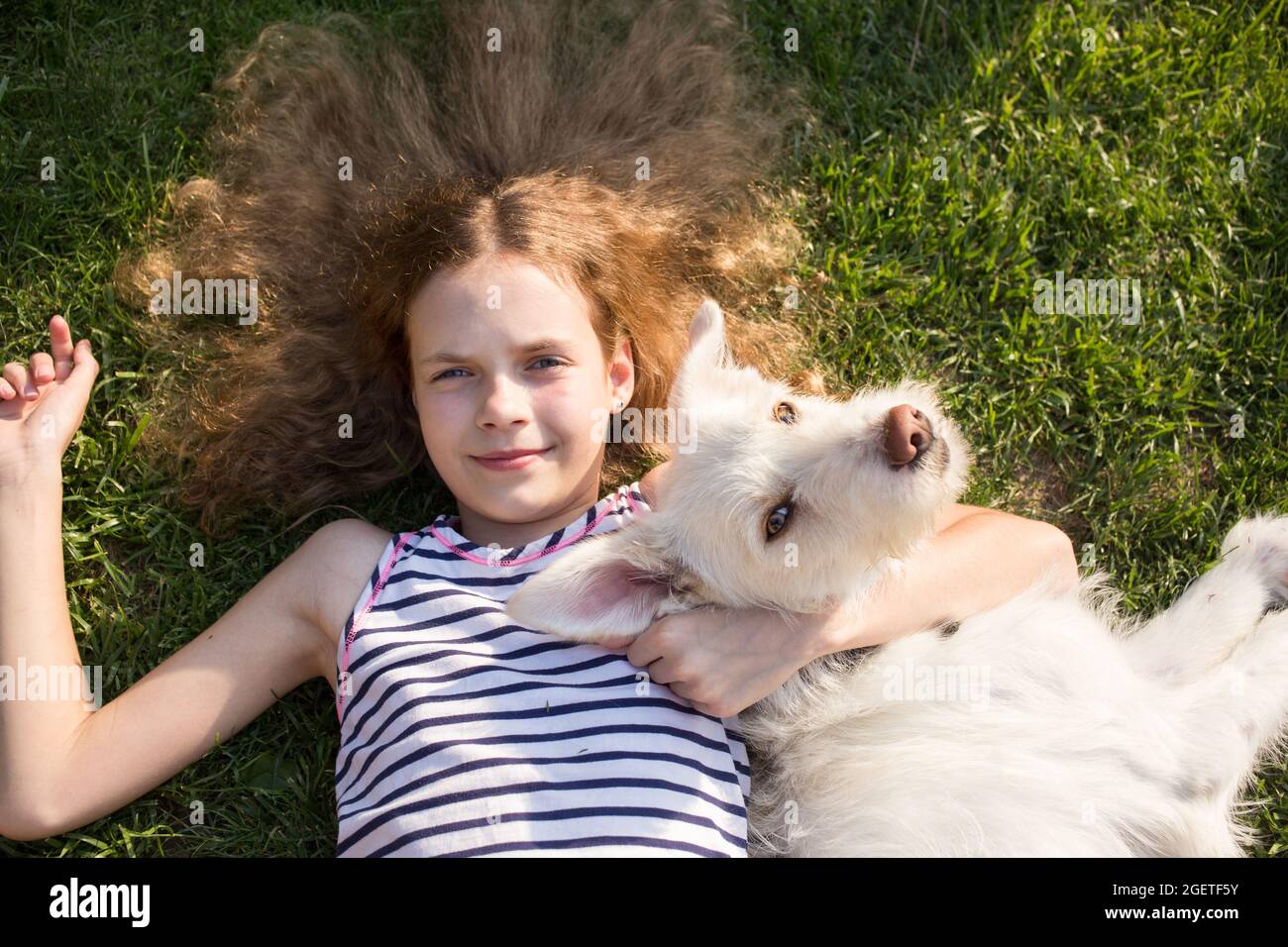 Porträt eines niedlichen lockigen Teenager-Mädchen 12 Jahre alt auf dem Gras an einem sonnigen Sommertag liegen, umarmt mit einem weißen Hund. Freude an der Ruhe, commu Stockfoto