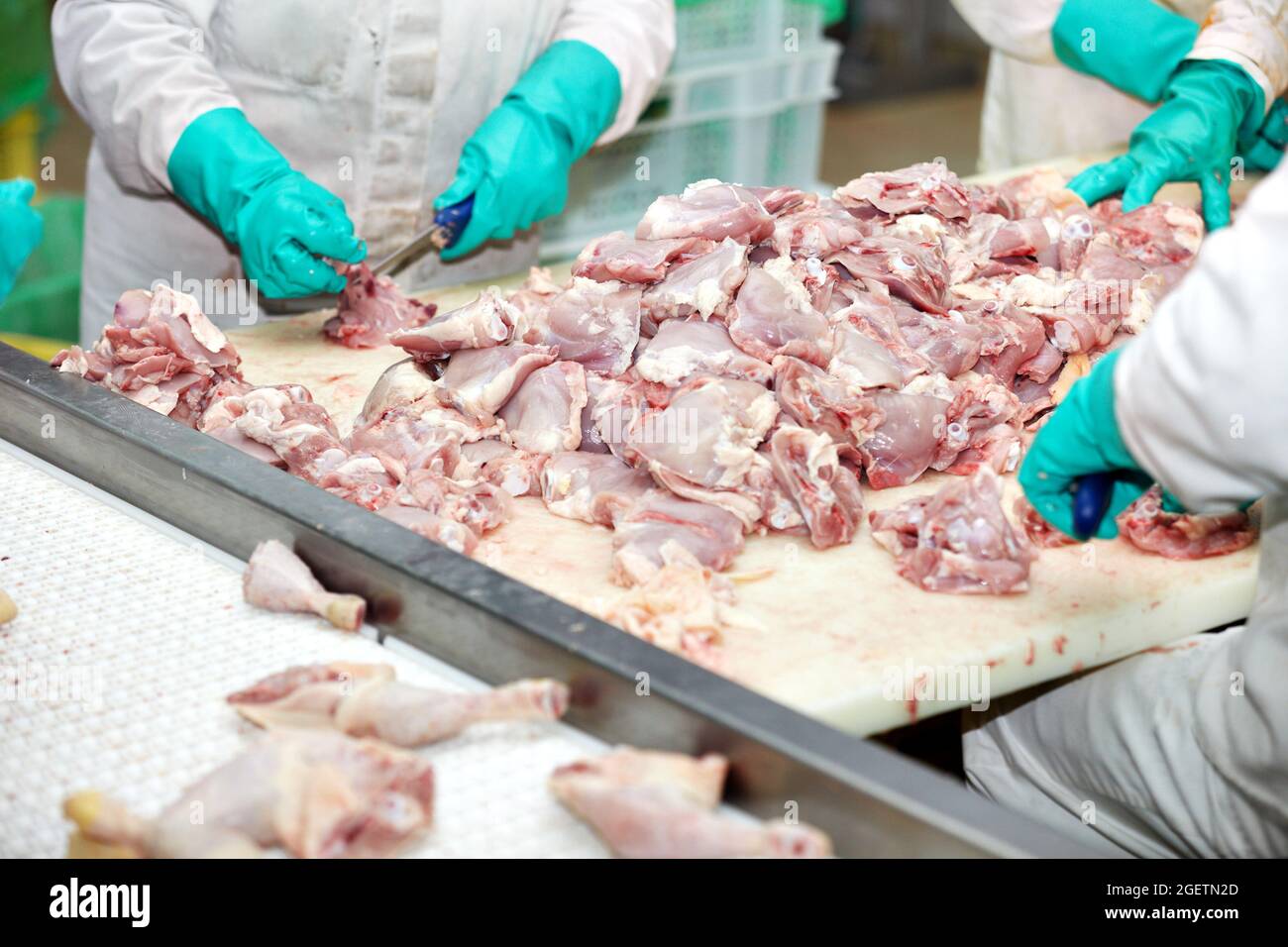 Hühnerfleisch Fabrik Lebensmittelindustrie Geflügel Tierproduktion Vogel Stockfoto
