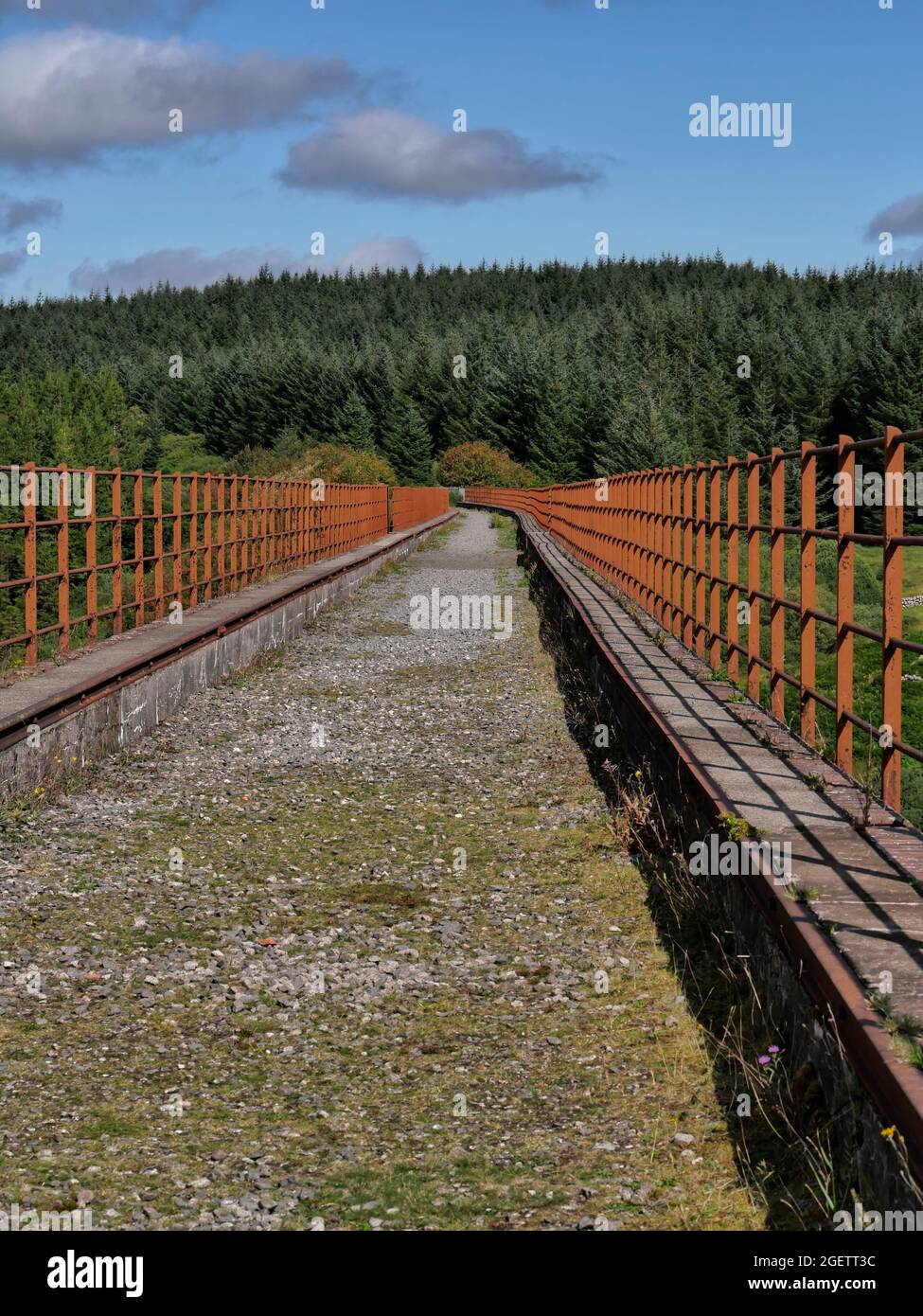 Viadukt über dem Big Water of Fleet, Teil der alten Portpatrick & Wigtownshire Joint Railway. Cairnsmore von Fleet NNR, Dumfries & Galloway, Schottland Stockfoto