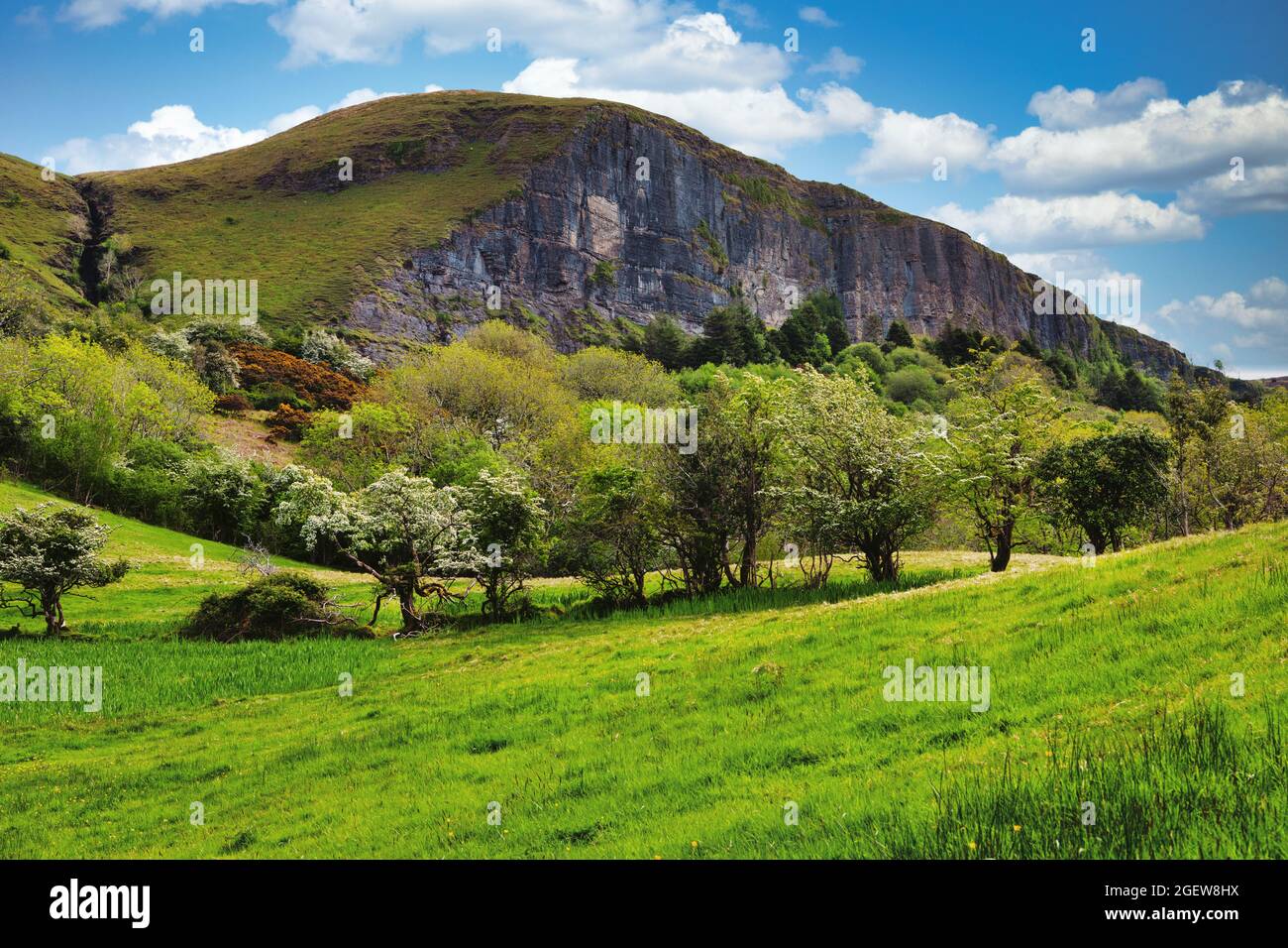 Blick vom Fuß von Benbulben, Co.Sligo, Irland Stockfoto
