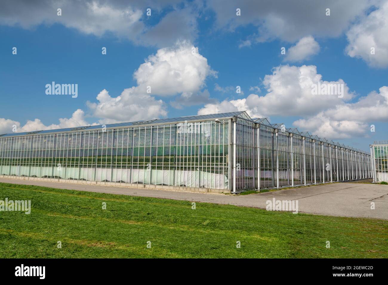 Landwirtschaft in den Niederlanden, große Glasgewächshäuser für den