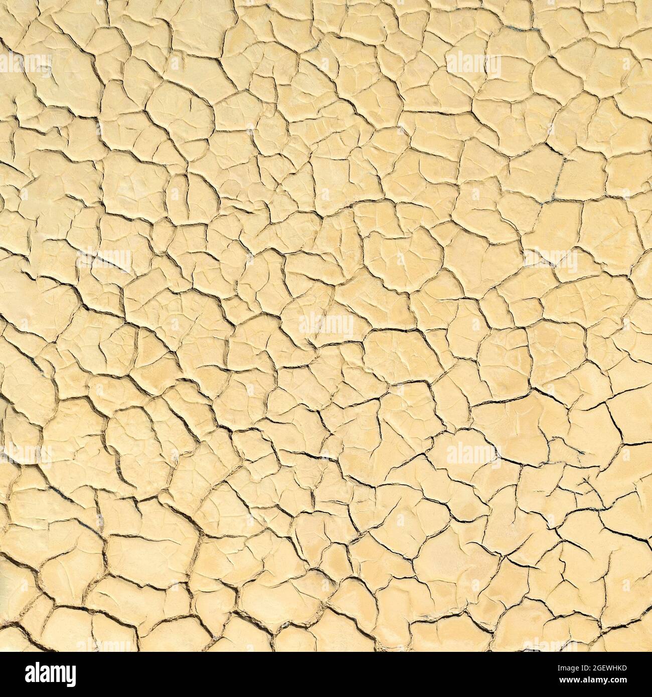 Oberfläche des getrockneten Seenbeckens mit Rissen im Schlamm. Natürlicher Hintergrund Stockfoto