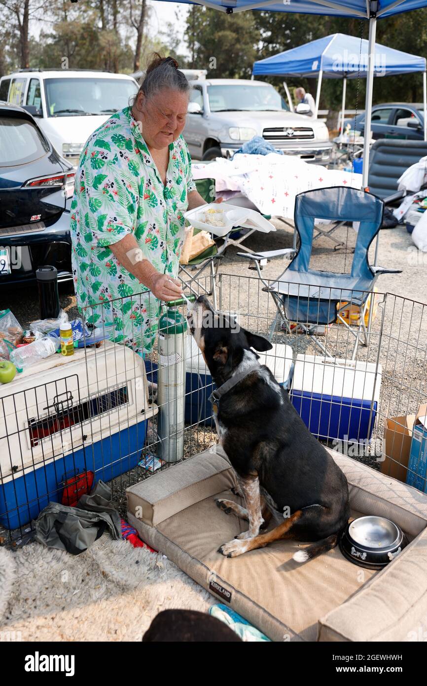 Evacuation shelter Fotos und Bildmaterial in hoher Auflösung Alamy