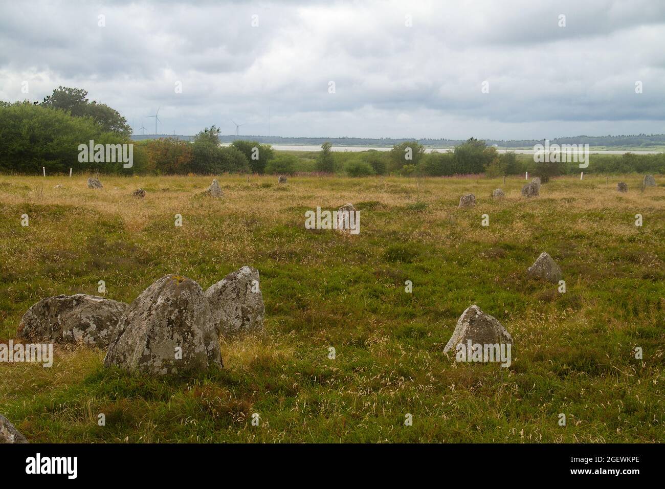 Tømmerby Viking Begräbnisstätte, viele einzelne Steinmonumente, in der Ferne der See Selbjerg Vejle Stockfoto
