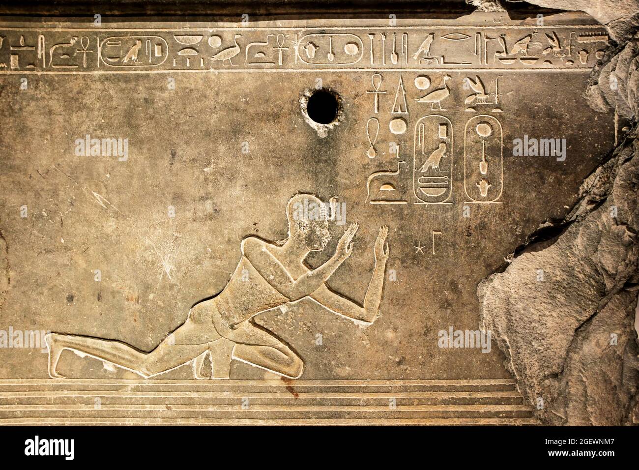 Innenausstellungshalle im Naturhistorischen Museum in Wien Stockfoto