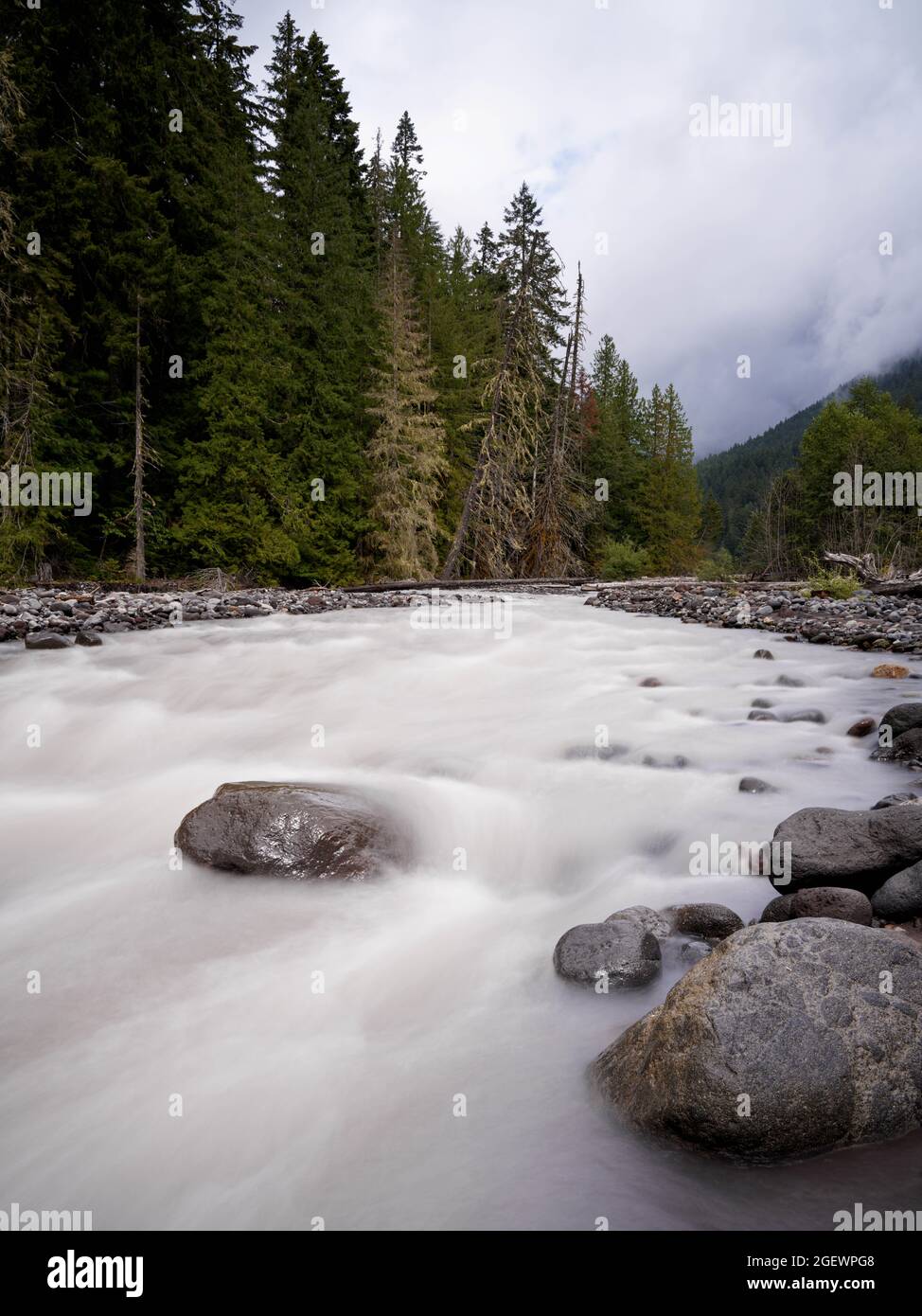 Tahoma Creek, Mount Rainier National Park, Pierce County, Washington, USA Stockfoto