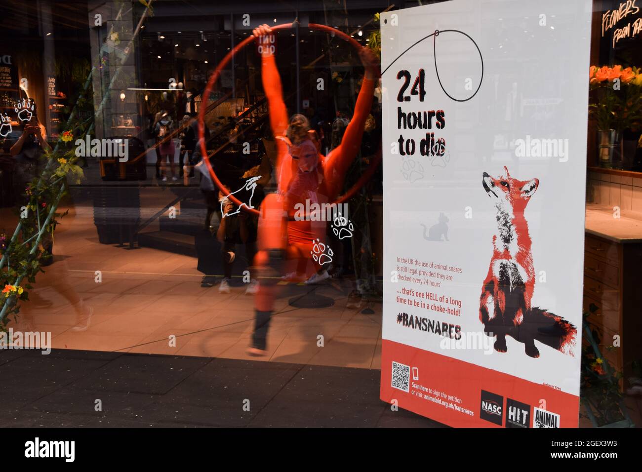 London, Großbritannien. August 2021.. Eine Tänzerin mit einer Fuchsmaske tritt im üppigen Laden auf der Oxford Street auf, um die Aufmerksamkeit auf die grausamen Fallstricke zu lenken und sie zu verbieten, die zum Fallen von Füchsen und anderen Wildtieren verwendet wurden. Die Kampagne ist in Zusammenarbeit mit dem Hunt Investigation Team (HIT) und der National Anti Snaring Campaign (NASC). (Kredit: Vuk Valcic / Alamy Live News) Stockfoto