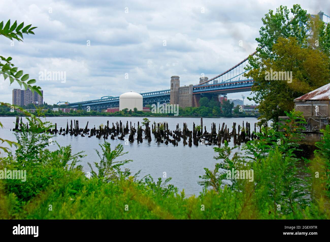 Blick auf die Camden-Seite der Benjamin Franklin Bridge vom Columbus Boulevard in Philadelphia, Pennsylvania-01 Stockfoto