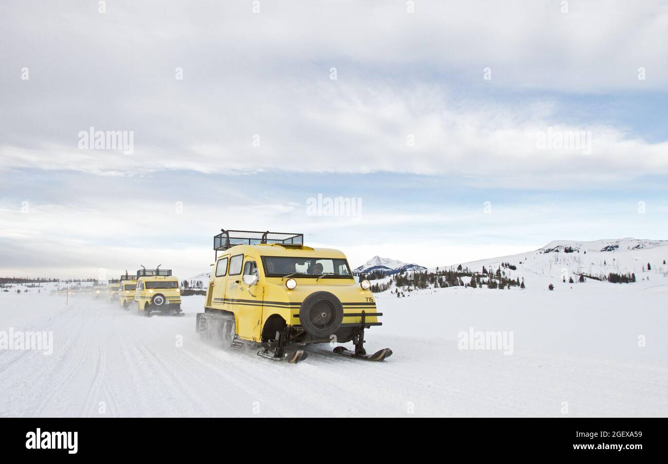 Die letzte Fahrt für die Xanterra Bombardier Schneebusse. Swan Lake Flats; Datum: 1. März 2016 Stockfoto