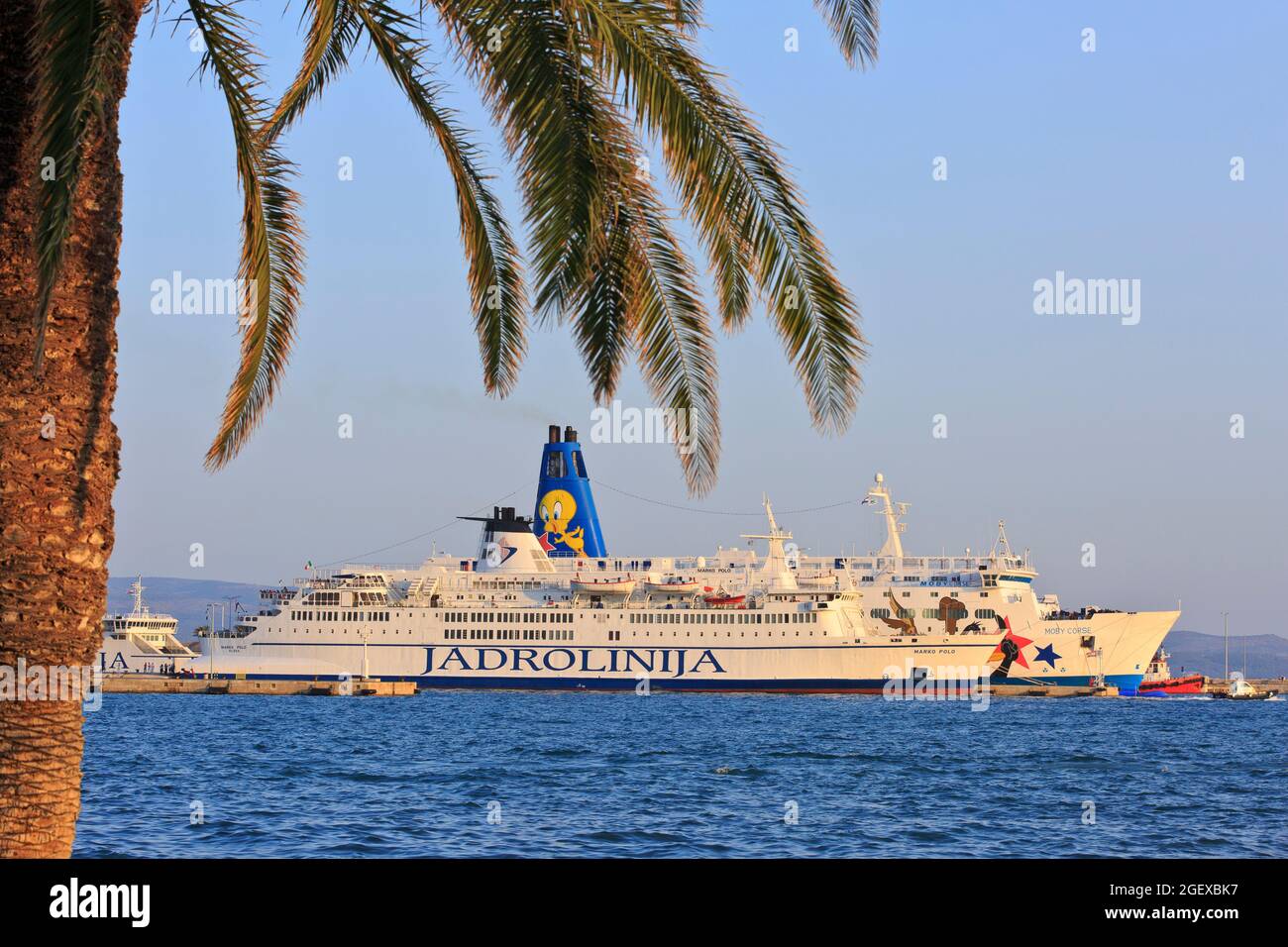 Die Autofähren Marko Polo (Jadrolinija) und Mobe Corse (Moby Lines) vertäuten im Hafen von Split Kroatien Stockfoto