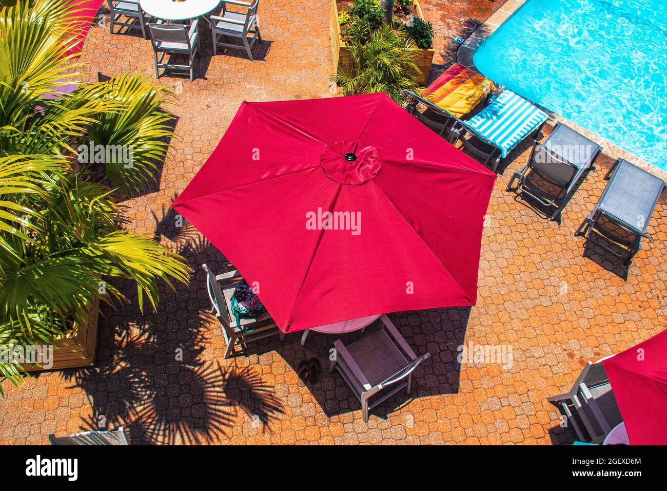 Strukturierte rote Sonnenschirme am Pool über Tischen und Stühlen neben Liegestühlen mit Strandhandtüchern und Topfpalmen auf der orangefarbenen Fliesenterrasse an sonnigen Tagen - top Stockfoto