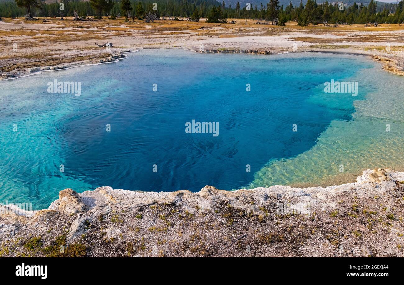 Dies ist ein Blick auf einen auffallenden blauen Thermalpool, bekannt als Sapphire Pool im Biscuit Basin Bereich des Yellowstone National Park, Wyoming, USA. Stockfoto