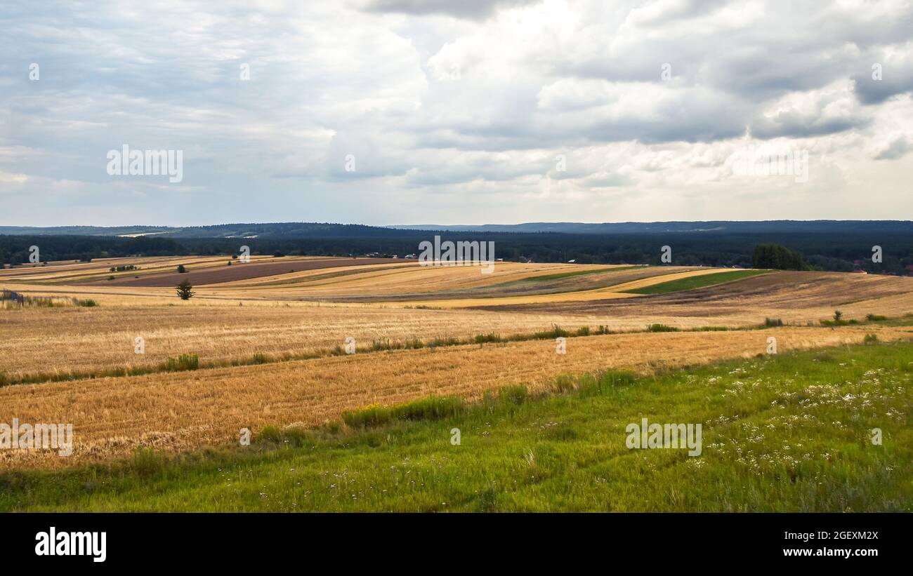 Landwirtschaftliche Felder auf kleinen Hügeln in der Zeit der Ernte. Wald im Hintergrund. Bewölkt, Sommertag. Susiec, Roztocze, Polen. Stockfoto