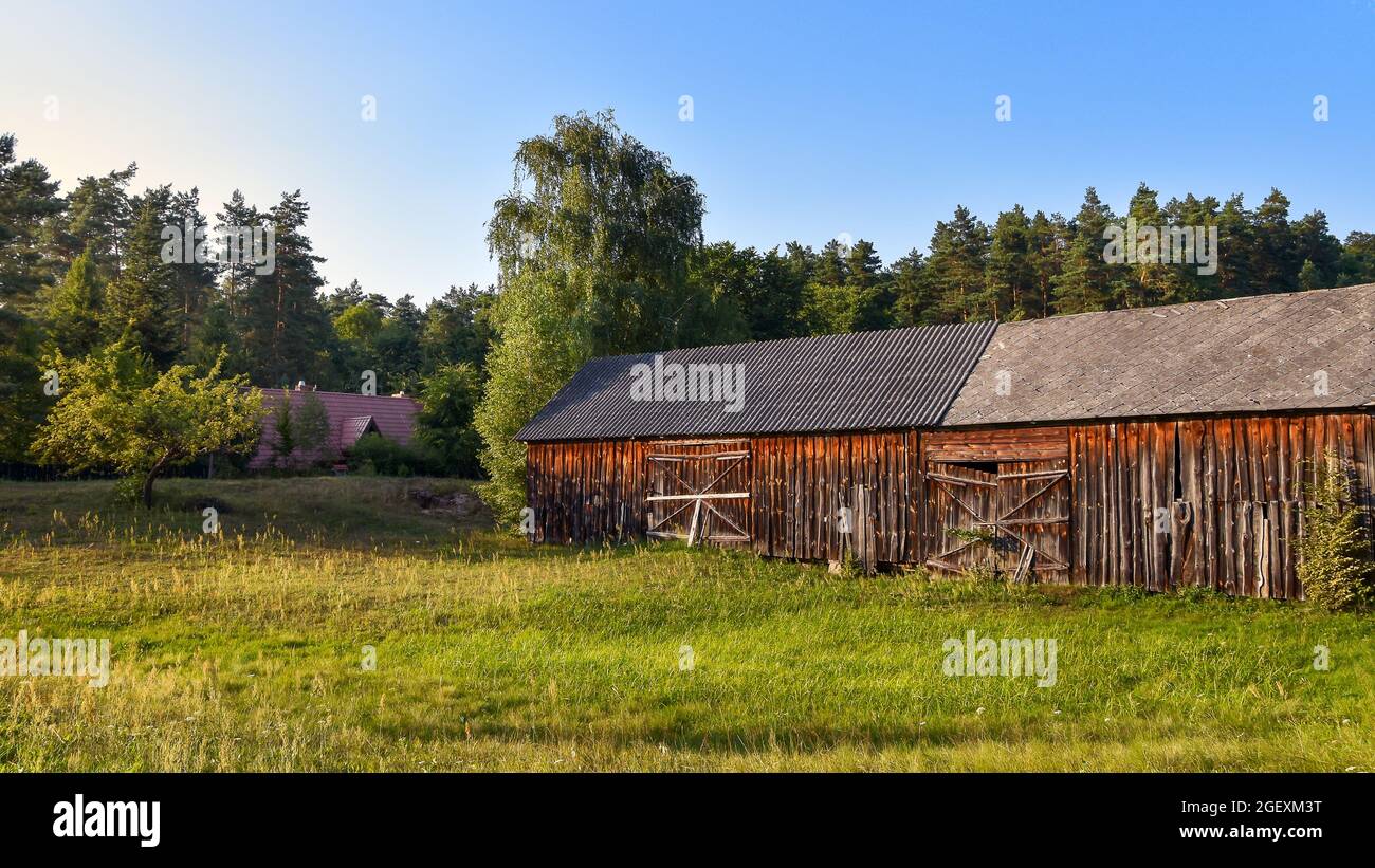 Alte, hölzerne Scheune auf der Wiese am Abend Sun. Forest ald kleine Hütte im Hintergrund. Wunderschöne ländliche Landschaft. Roztocze, Polen. Stockfoto