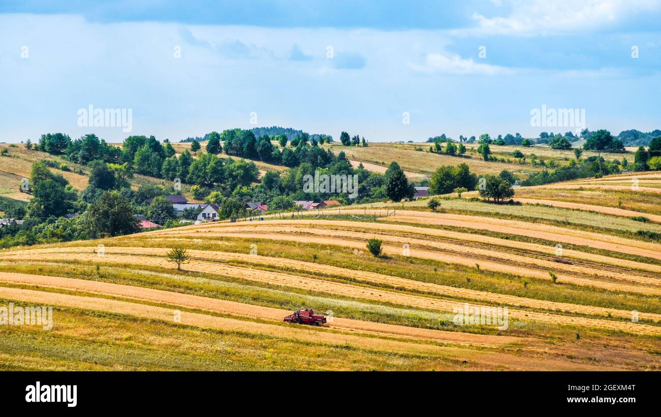 Schöne Aussicht auf ein landwirtschaftliches Feld in der Zeit der Ernte. Flache Hügel, Bäume am Horizont. Harvestermaschine im Vordergrund. Sonnig, Sommer d Stockfoto