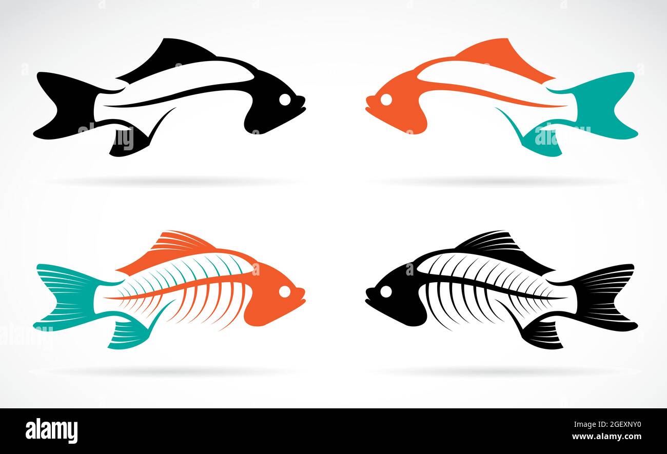 Vektorbild eines Fischknochens auf weißem Hintergrund. Leicht editierbare Vektorgrafik mit Ebenen. Wilde Tiere. Nutztier. Stock Vektor