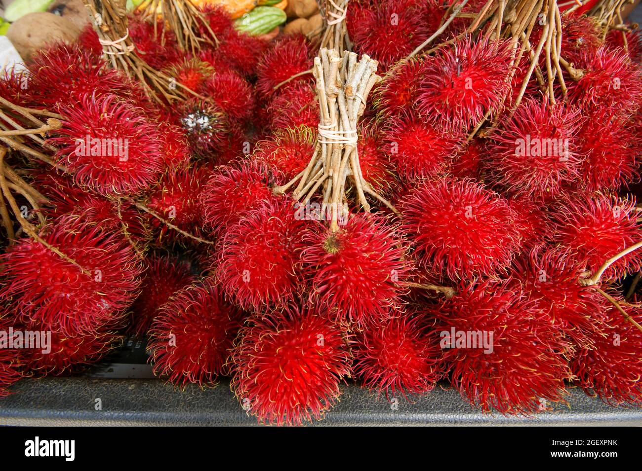 Rote Rambutan-Frucht (Nephelium lappaceum) zum Verkauf auf einem lokalen Markt, Sabah, Borneo Stockfoto