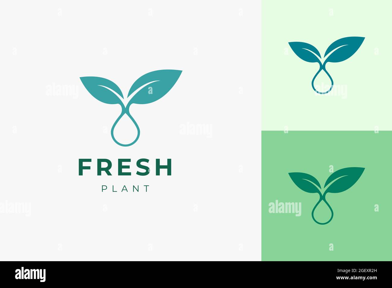 Saubere und einfache Pflanzenöl-Logo-Vorlage für die Gesundheitsversorgung oder Beauty-Serum Stock Vektor