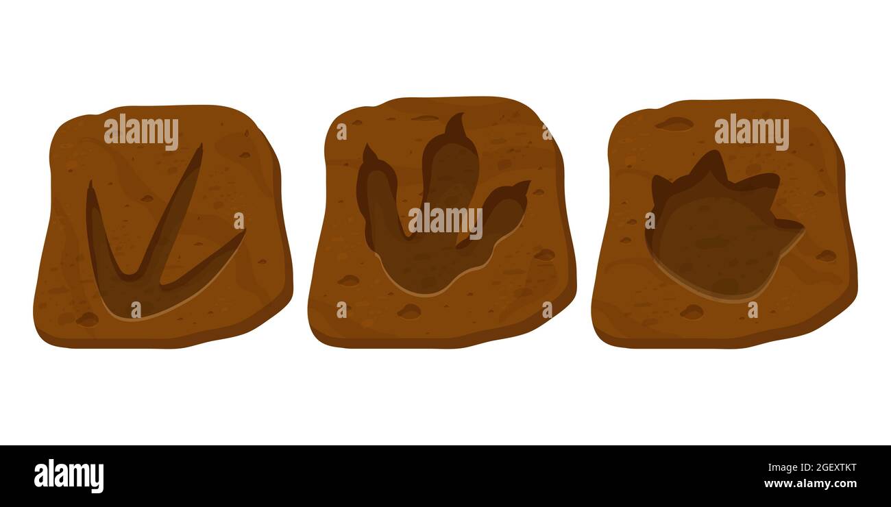 Setzen Sie Dinosaurier Fossil, Pfotenmuster, Reptil Fußspur in Cartoon-Stil isoliert auf weißem Hintergrund. Archäologische und paläontologische Funde. . Vektorgrafik Stock Vektor