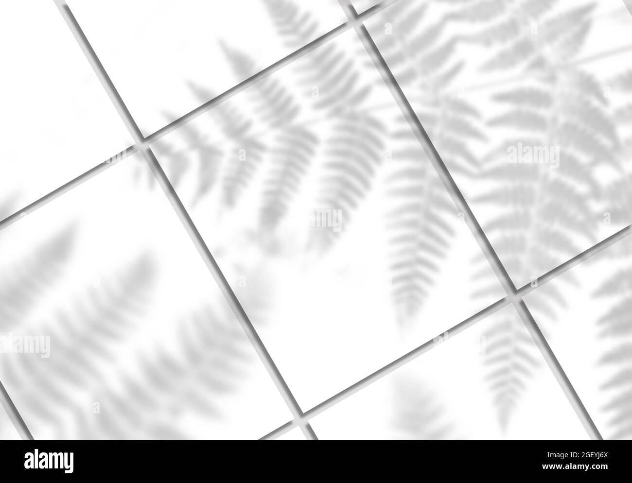 Auf neutralem grauen Boden (Draufsicht) liegende, diagonale Poster mit weichen tropischen Blättern-Schatten. Leere Leerzeichen Mock up in grauem Hintergrund . 3D i Stockfoto