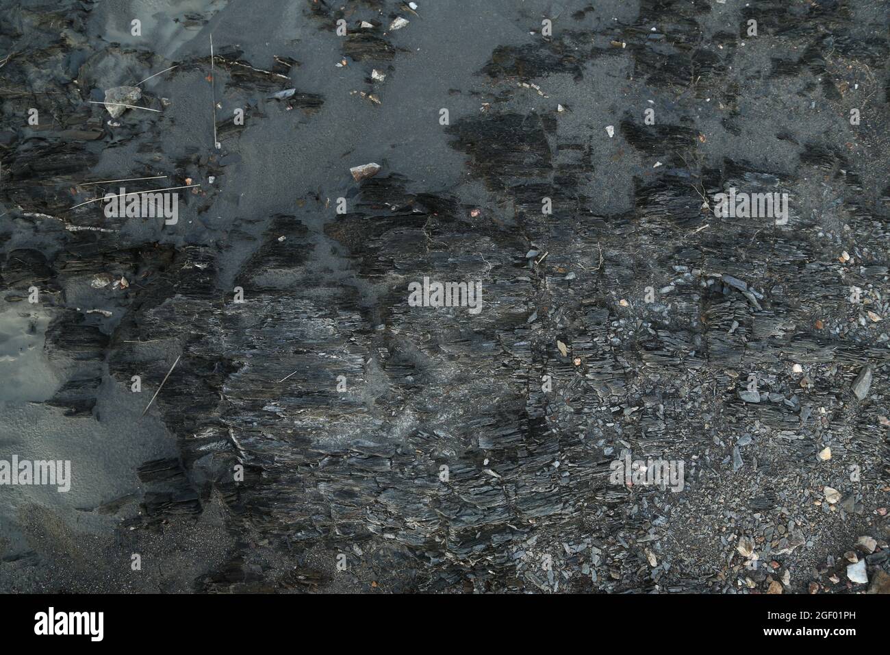 Feine schwarze Erde Textur mit verschiedenen Formen und Elementen Stockfoto