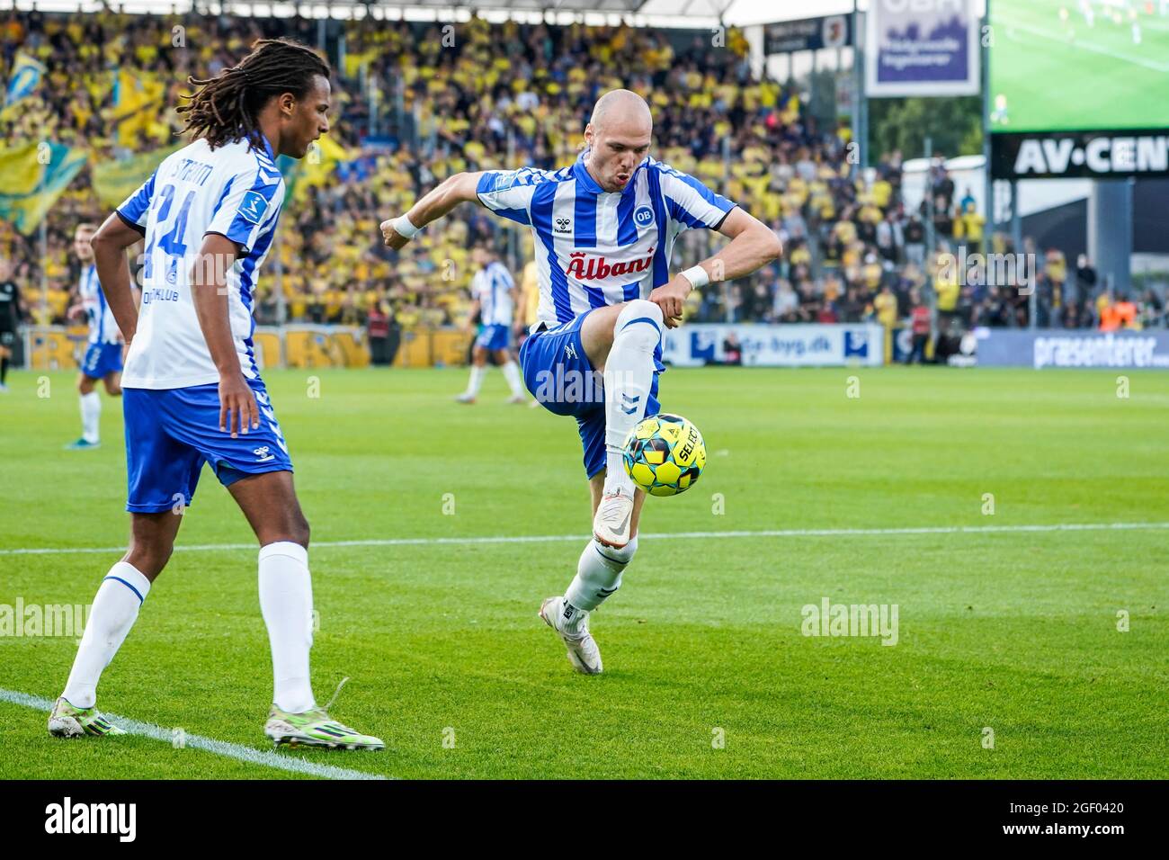 Odense, Dänemark. August 2021. Aron Elis Thrrandarson (19) von ob, gesehen während des 3F Superliga-Spiels zwischen Odense Boldklub und Broendby IF im Nature Energy Park in Odense. (Foto: Gonzales Photo/Alamy Live News Stockfoto