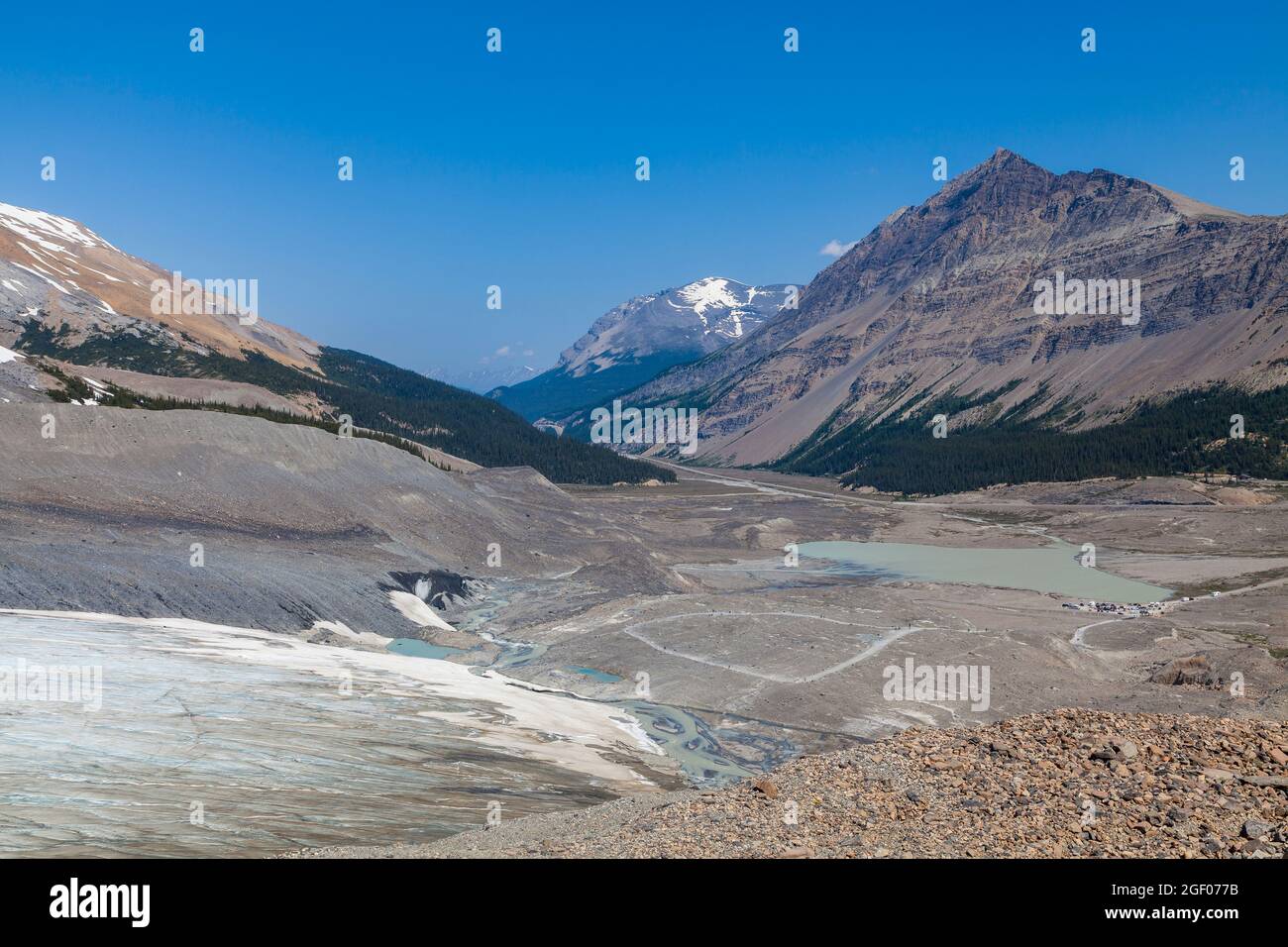 Blick auf den Athabasca-Gletscher in der Columbia Icefields-Region Kanadas. Stockfoto