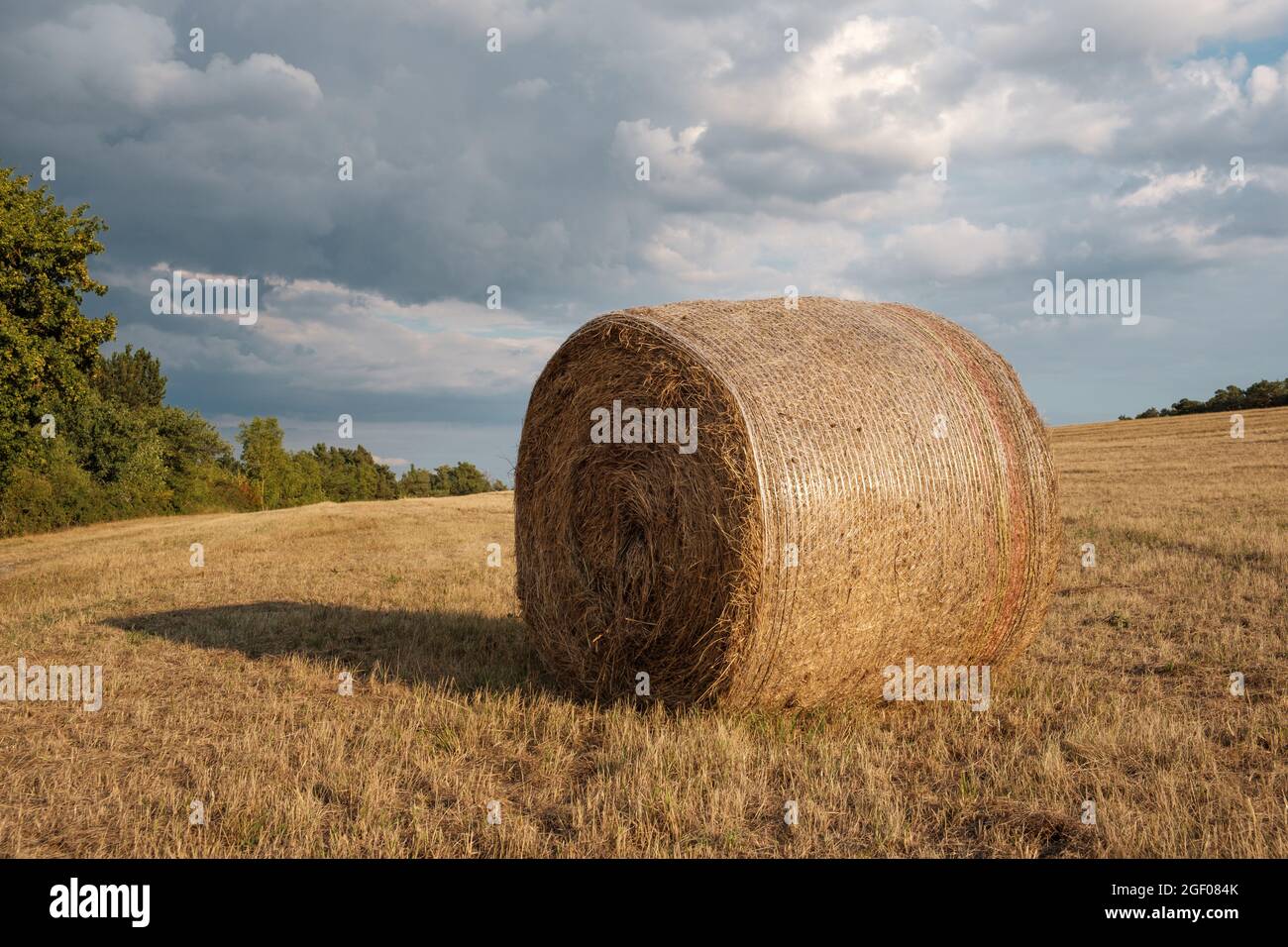 Runde Strohballen auf einem Feld in Deutschland. Stockfoto