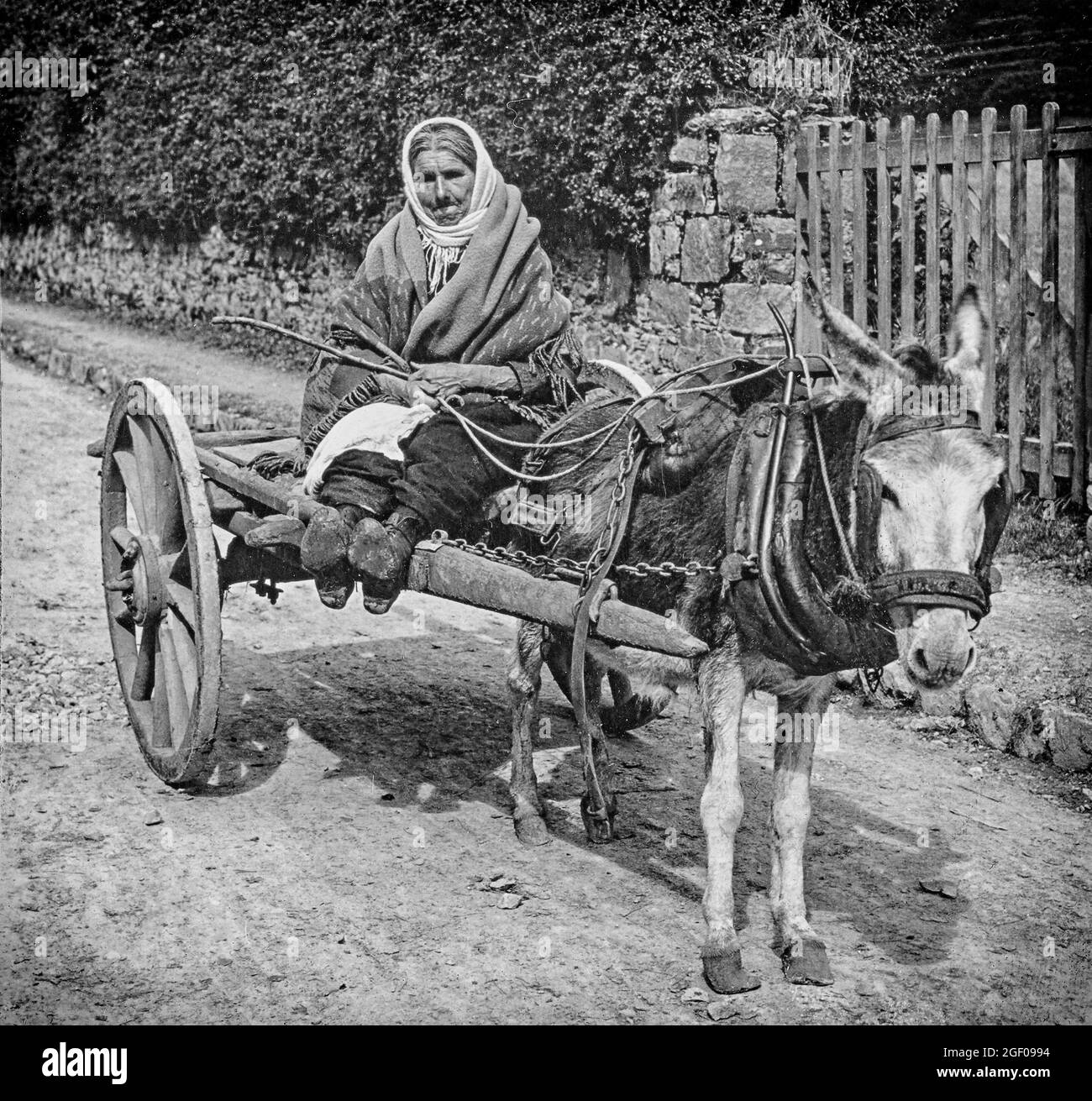 Eine Szene aus dem frühen 20. Jahrhundert, in der eine ältere Frau auf ihrem Eselskarren in der Grafschaft Kerry, Irland, zu sehen ist. Stockfoto