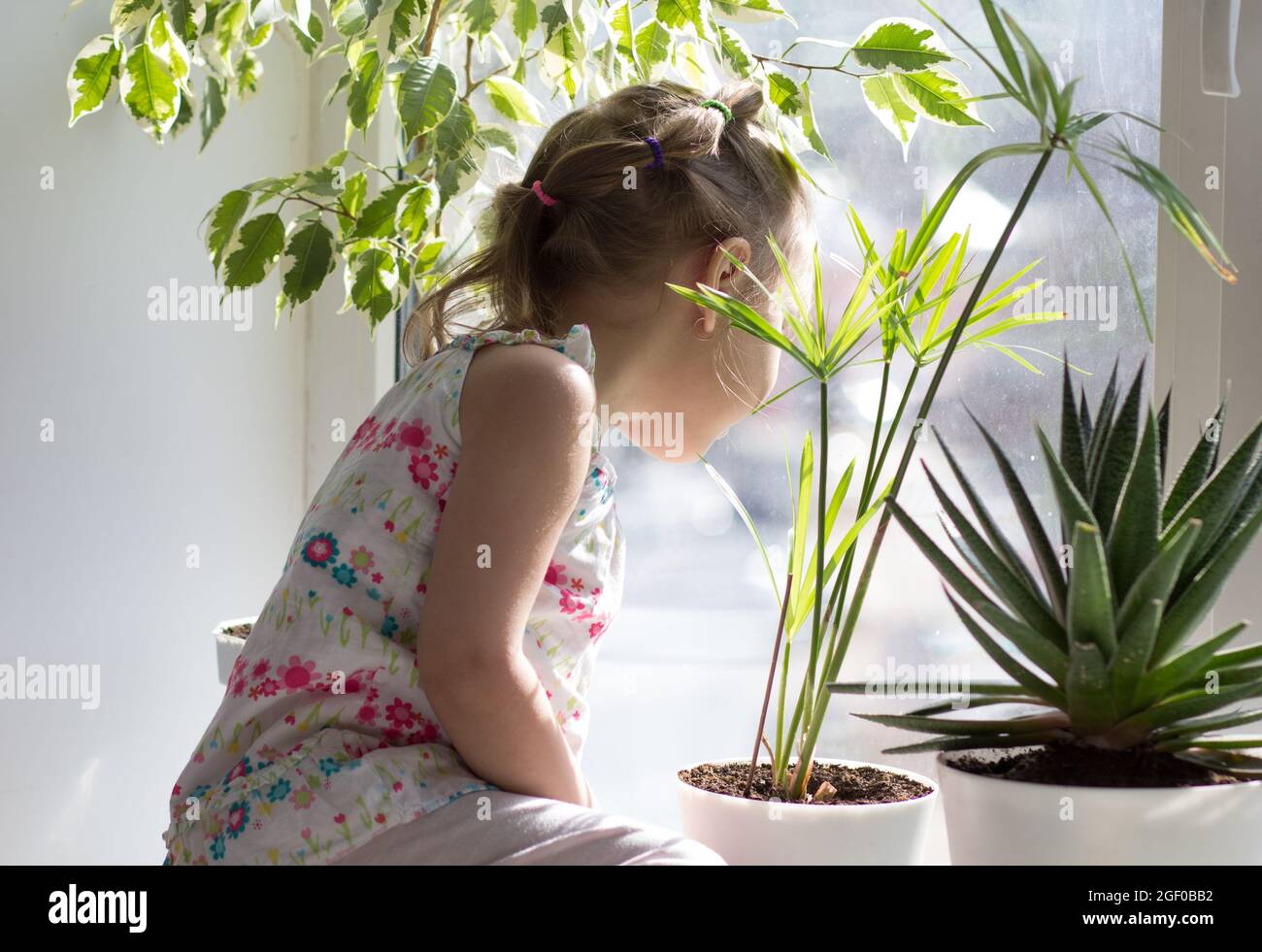Trauriges kaukasisches Kind von drei Jahren, das auf der Fensterbank sitzt und auf das Fenster schaut Stockfoto