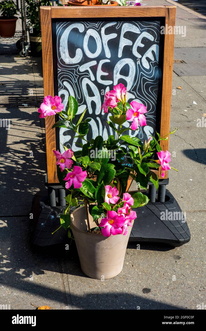 Tafel vor dem Teeladen, der Kaffee und Tee anbietet, Greenwich Village, New York City, New York, USA Stockfoto