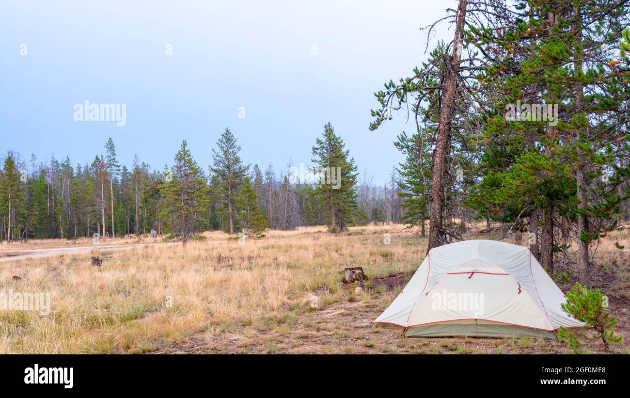 Perfekter Campingplatz mit Bäumen Stockfoto