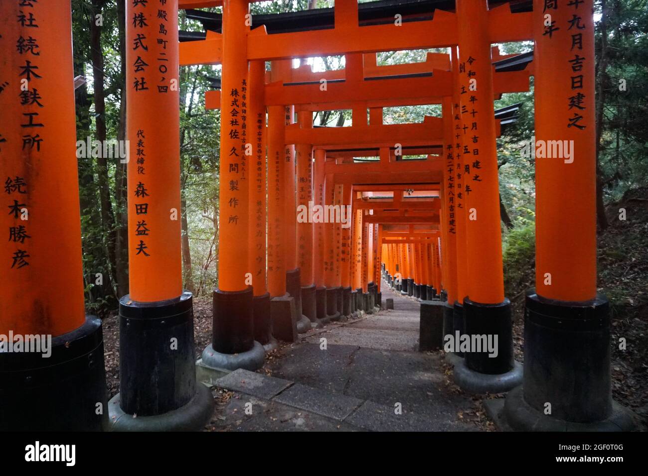 Fushimi Inari Taisha in Kyoto Japan Stock Photo Stock Images Stock-Bilder Stockfoto