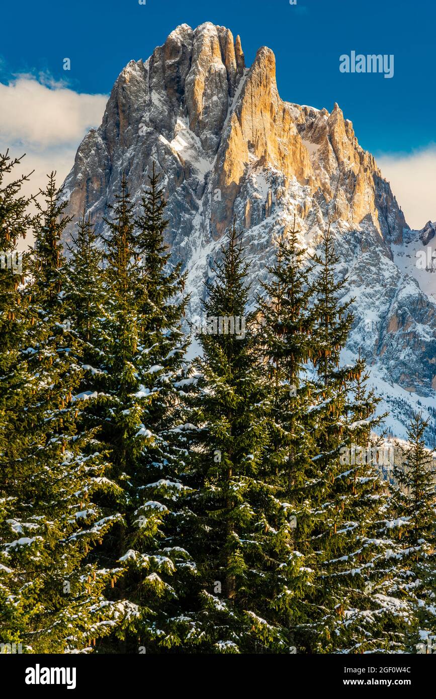 Panorama-Winteransicht der Seiser Alm - Seiser Alm mit Langkofelmassiv im Hintergrund, Dolomiten, Südtirol - Südtirol, Italien Stockfoto