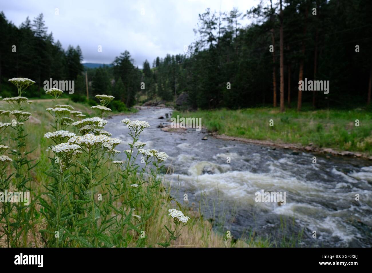 Button Rock Preserve River Foto Stockfoto